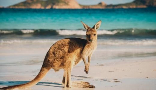 Kangaroo Island